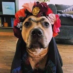 Meet your Posher, Connie